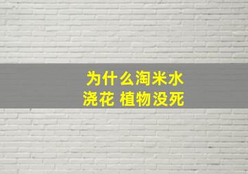 为什么淘米水浇花 植物没死